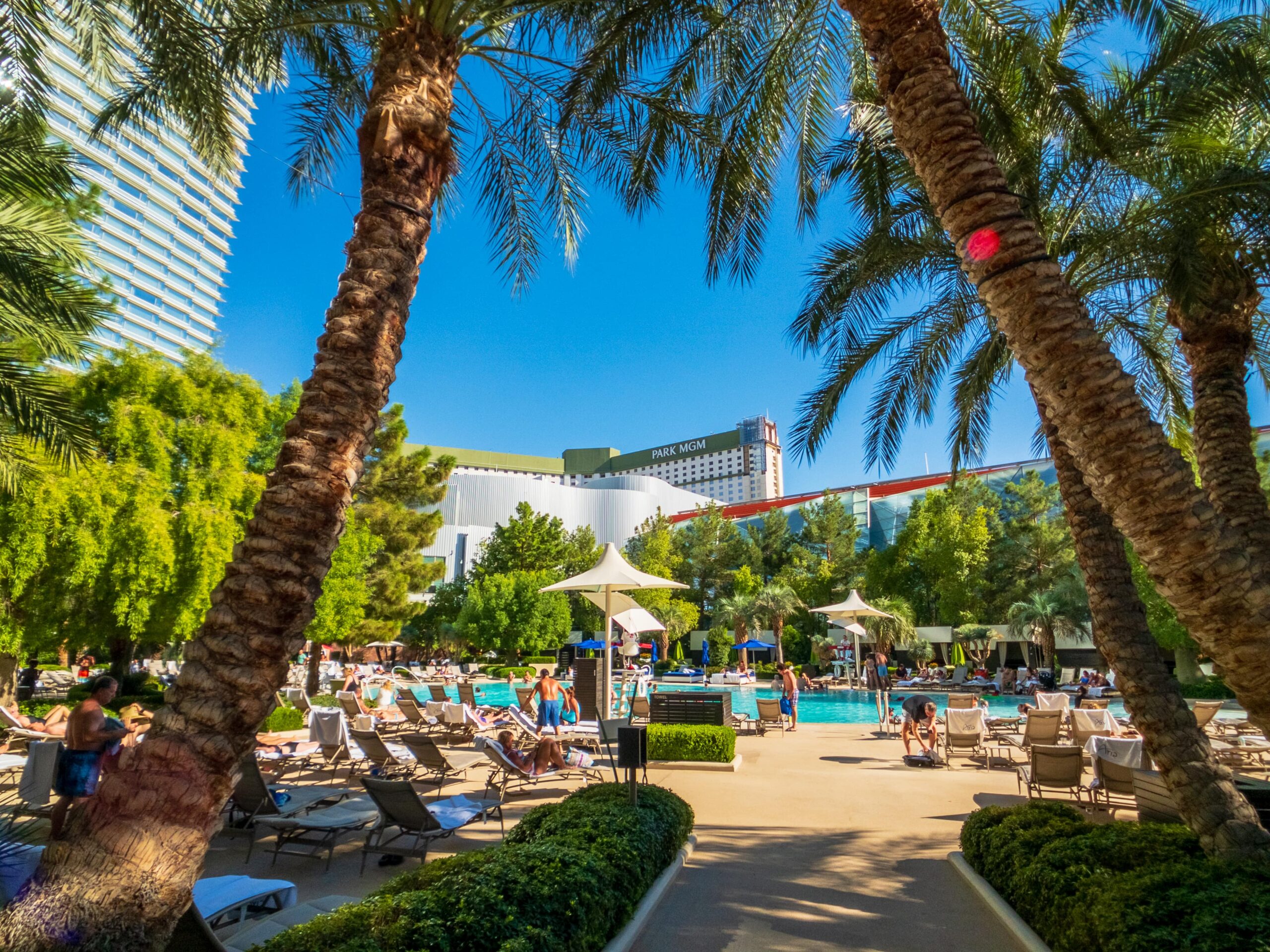 ARIA Resort & Casino Pool
